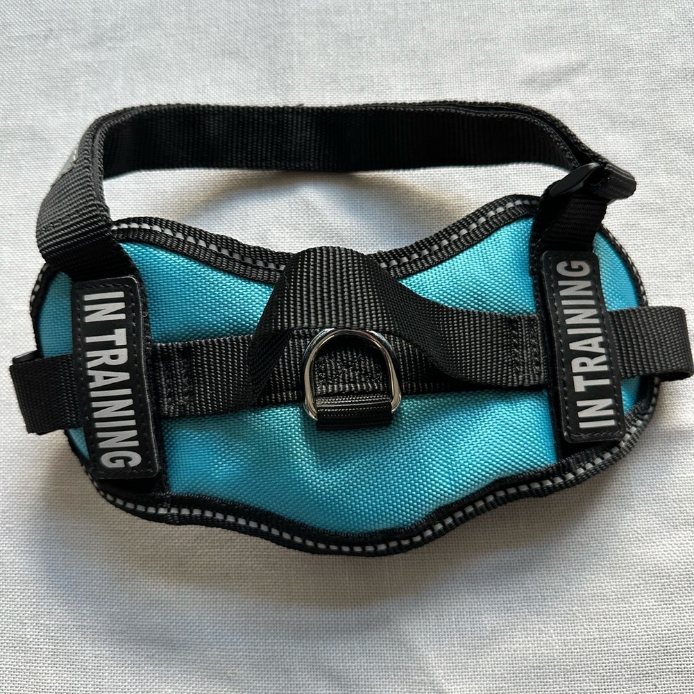Blue 'In Training' Dog Harness